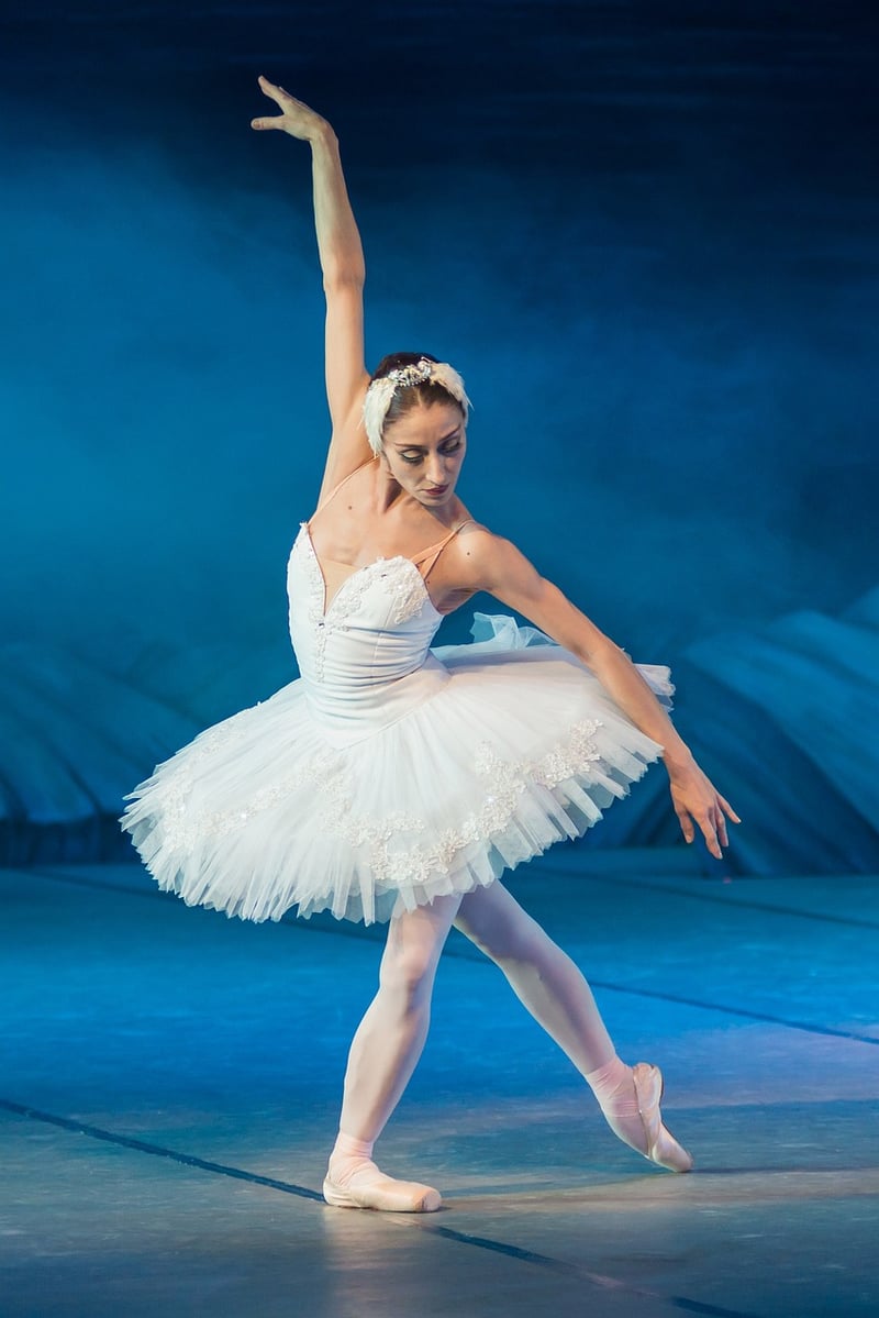 Ballet Workshops