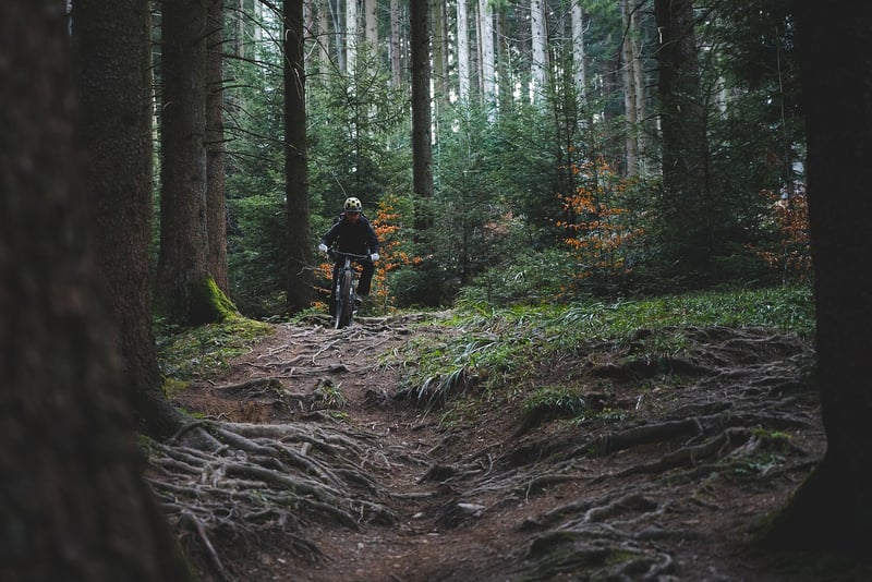 Mountain Adventure Trail